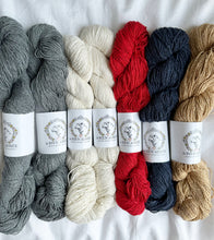 Load image into Gallery viewer, Stripeometry Shawl Kits