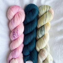 Load image into Gallery viewer, Hiss & Vingar Kit