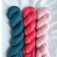 Load image into Gallery viewer, Hiss & Vingar Kit