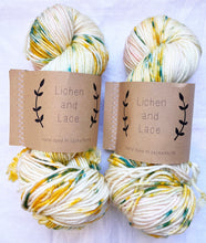 Load image into Gallery viewer, Lichen and Lace Superwash Worsted