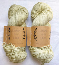 Load image into Gallery viewer, Lichen and Lace Superwash Worsted