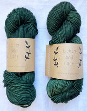 Load image into Gallery viewer, Lichen and Lace Superwash Worsted