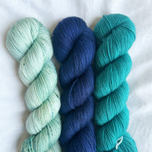 Load image into Gallery viewer, Hiss & Vingar Kit