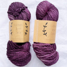 Load image into Gallery viewer, Lichen and Lace Superwash Worsted