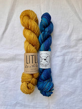 Load image into Gallery viewer, Curio Socks Kit