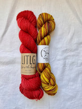 Load image into Gallery viewer, Curio Socks Kit