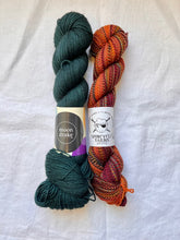 Load image into Gallery viewer, Curio Socks Kit