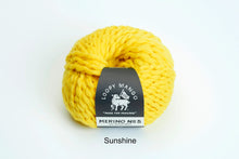 Load image into Gallery viewer, All You Knit Kit - My First Scarf