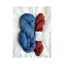 Load image into Gallery viewer, Paulie Cardigan Kits