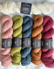 Load image into Gallery viewer, DJO kits