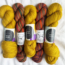 Load image into Gallery viewer, Ooey Gooey Kits