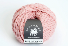 Load image into Gallery viewer, All You Knit Kit - My First Scarf