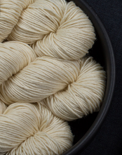 Load image into Gallery viewer, Journey Worsted