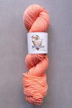 Load image into Gallery viewer, Martha Stewart Neck Scarf