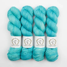 Load image into Gallery viewer, LBA Merino DK