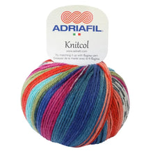 Load image into Gallery viewer, Knit Col