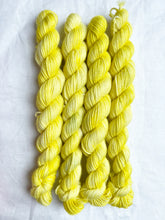 Load image into Gallery viewer, Cashmere Sea Sock Minis