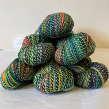 Load image into Gallery viewer, Dyed in the Wool
