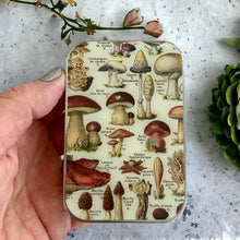 Load image into Gallery viewer, Mushroom tin