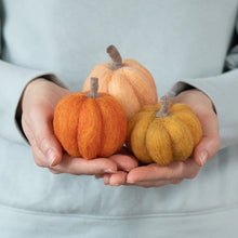 Load image into Gallery viewer, Pumpkin Trio Mini Needle Felting Kit
