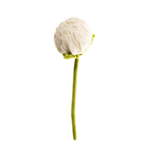Load image into Gallery viewer, Felted Allium