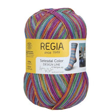 Load image into Gallery viewer, Regia 4-Ply Sock Yarn