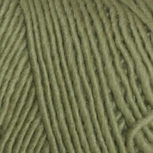 Load image into Gallery viewer, Lamb's Pride Worsted