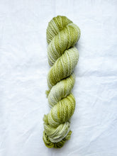 Load image into Gallery viewer, Nessie