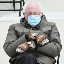 Load image into Gallery viewer, Bernie Mitten Kits