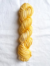 Load image into Gallery viewer, Nessie