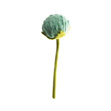 Load image into Gallery viewer, Felted Allium
