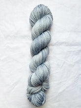 Load image into Gallery viewer, Nessie