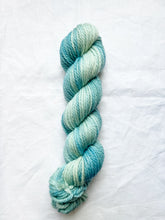 Load image into Gallery viewer, Nessie