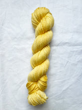 Load image into Gallery viewer, Nessie