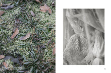 Load image into Gallery viewer, Contrasts - Textured Knitting