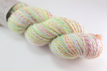 Load image into Gallery viewer, Homestead Sport