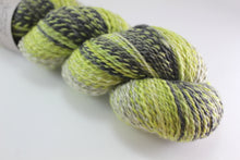 Load image into Gallery viewer, Homestead Sport