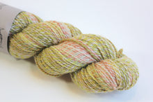 Load image into Gallery viewer, Homestead Sport