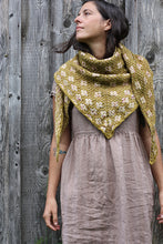 Load image into Gallery viewer, Pressed Flowers Virtual Workshop (prerecorded)