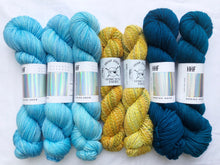 Load image into Gallery viewer, Moonwhistle Kit