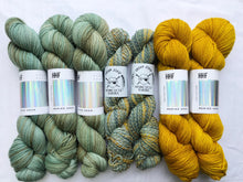 Load image into Gallery viewer, Moonwhistle Kit