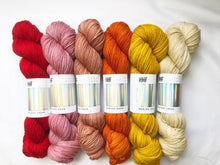 Load image into Gallery viewer, Powder Wrap Kit - 6 color version