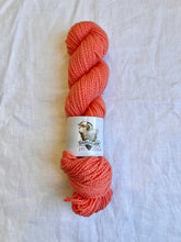 Load image into Gallery viewer, Reminisce Sport