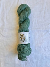 Load image into Gallery viewer, Reminisce Sport