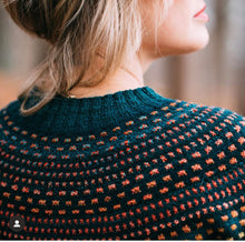 Load image into Gallery viewer, SHIFTIGAN