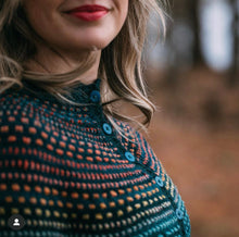 Load image into Gallery viewer, SHIFTIGAN