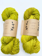 Load image into Gallery viewer, Lichen and Lace Superwash Worsted