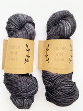 Load image into Gallery viewer, Lichen and Lace Superwash Worsted