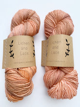 Load image into Gallery viewer, Lichen and Lace Superwash Worsted