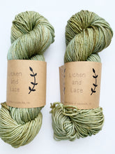 Load image into Gallery viewer, Lichen and Lace Superwash Worsted